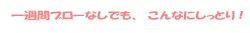 �콵�֥֥����ʤ��Ǥ⡢����ʤˤ��äȤꡪ